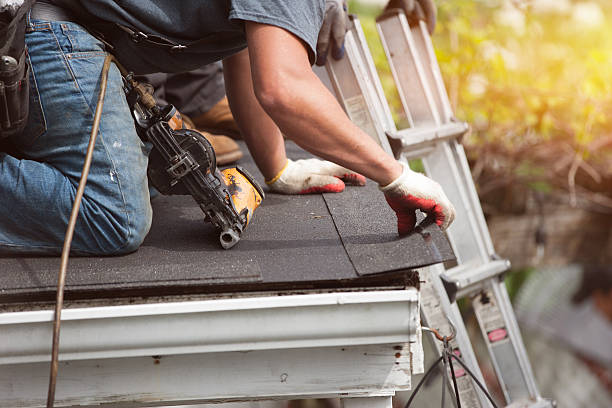 Best Flat Roof Repair Services  in USA